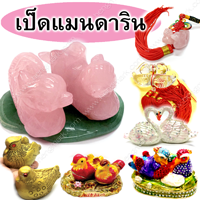 เป็ดแมนดาริน