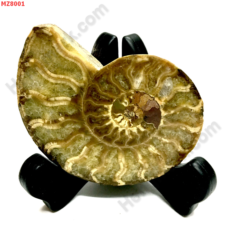 MZ8001 อะเมทิสต์คริสตัลพร้อมขาตั้ง ราคา 999 บาท http://www.hengmark.com/view_product/MZ8001.htm