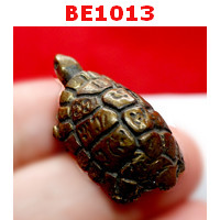 BE1013 : เต่าทองเหลือง