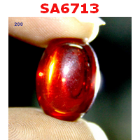 SA6713 : เพชรพญานาค สีแดง